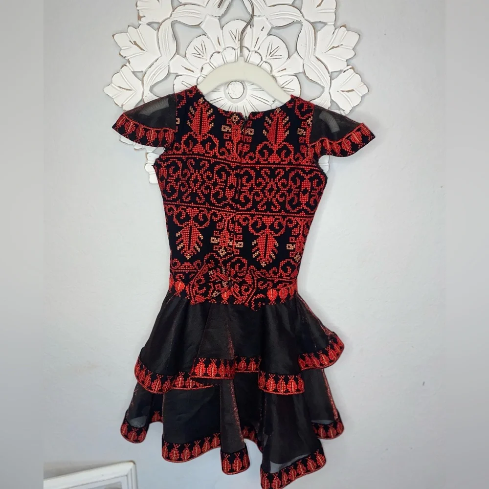 Girls embroidered ruffle dresses size 2T BRAND NEW no tags though! - Picture 7 of 11